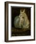 The White Horse "Gazelle"-Henri de Toulouse-Lautrec-Framed Giclee Print