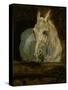 The White Horse "Gazelle"-Henri de Toulouse-Lautrec-Stretched Canvas