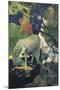 The White Horse-Paul Gauguin-Mounted Premium Giclee Print