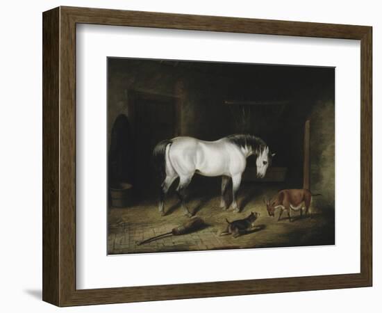 The White Horse-John Frederick Herring II-Framed Giclee Print