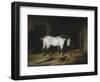 The White Horse-John Frederick Herring II-Framed Giclee Print