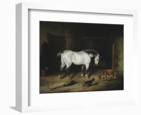 The White Horse-John Frederick Herring II-Framed Giclee Print