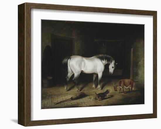 The White Horse-John Frederick Herring II-Framed Giclee Print