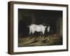 The White Horse-John Frederick Herring II-Framed Giclee Print
