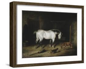 The White Horse-John Frederick Herring II-Framed Giclee Print