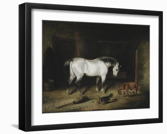 The White Horse-John Frederick Herring II-Framed Giclee Print