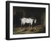 The White Horse-John Frederick Herring II-Framed Giclee Print