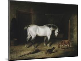 The White Horse-John Frederick Herring II-Mounted Giclee Print