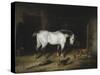 The White Horse-John Frederick Herring II-Stretched Canvas