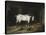 The White Horse-John Frederick Herring II-Stretched Canvas