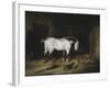 The White Horse-John Frederick Herring II-Framed Giclee Print