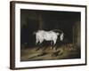 The White Horse-John Frederick Herring II-Framed Giclee Print