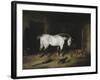 The White Horse-John Frederick Herring II-Framed Giclee Print