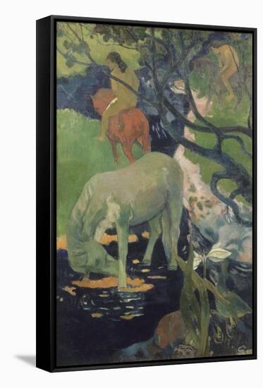 The White Horse-Paul Gauguin-Framed Stretched Canvas