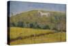 The White Horse-Ruth Addinall-Stretched Canvas