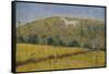 The White Horse-Ruth Addinall-Framed Stretched Canvas