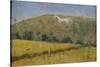 The White Horse-Ruth Addinall-Stretched Canvas