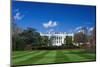 The White House and south lawn, Washington DC, USA-Russ Bishop-Mounted Premium Photographic Print