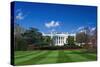 The White House and south lawn, Washington DC, USA-Russ Bishop-Stretched Canvas