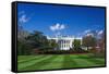 The White House and south lawn, Washington DC, USA-Russ Bishop-Framed Stretched Canvas