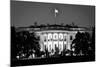The White House At Night - Washington Dc, United States - Black And White-Orhan-Mounted Art Print