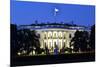 The White House at Night - Washington Dc, United States-Orhan-Mounted Photographic Print