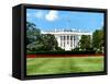 The White House South Lawn, Official Residence of the President of the US, Washington D.C-Philippe Hugonnard-Framed Stretched Canvas