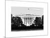 The White House South Lawn, Official Residence of the President of the US, Washington D.C-Philippe Hugonnard-Mounted Art Print