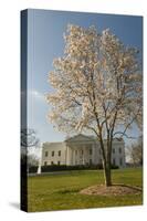 The White House, Washington, D.C., United States of America, North America-John Woodworth-Stretched Canvas