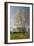 The White House, Washington, D.C., United States of America, North America-John Woodworth-Framed Photographic Print