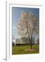 The White House, Washington, D.C., United States of America, North America-John Woodworth-Framed Photographic Print