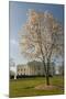 The White House, Washington, D.C., United States of America, North America-John Woodworth-Mounted Photographic Print