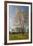 The White House, Washington, D.C., United States of America, North America-John Woodworth-Framed Photographic Print