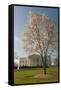 The White House, Washington, D.C., United States of America, North America-John Woodworth-Framed Stretched Canvas