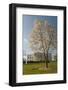 The White House, Washington, D.C., United States of America, North America-John Woodworth-Framed Photographic Print