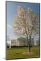 The White House, Washington, D.C., United States of America, North America-John Woodworth-Mounted Photographic Print