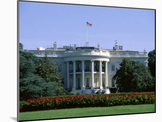 The White House, Washington, D.C., USA-null-Mounted Premium Photographic Print