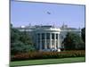 The White House, Washington, D.C., USA-null-Mounted Premium Photographic Print