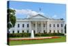 The White House - Washington DC-Orhan-Stretched Canvas