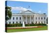 The White House - Washington DC-Orhan-Stretched Canvas