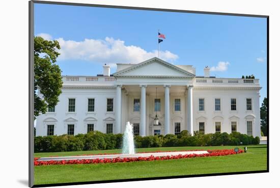 The White House - Washington DC-Orhan-Mounted Photographic Print