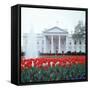 The White House-null-Framed Stretched Canvas