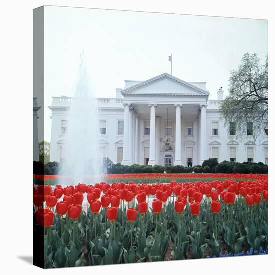 The White House-null-Stretched Canvas