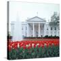 The White House-null-Stretched Canvas