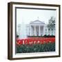 The White House-null-Framed Photographic Print