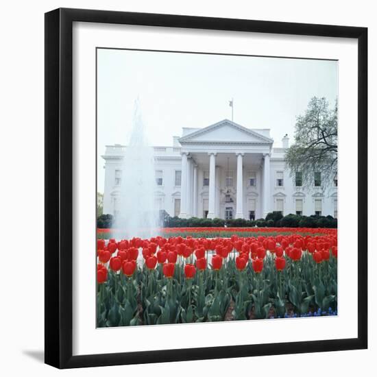 The White House-null-Framed Photographic Print