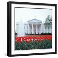 The White House-null-Framed Photographic Print