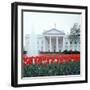 The White House-null-Framed Photographic Print