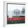 The White House-null-Framed Photographic Print