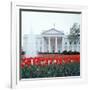 The White House-null-Framed Photographic Print